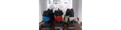 159. திருநாலூர் மயானம்